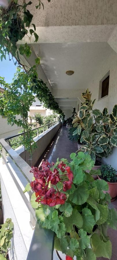 Villa Madani Дуррес Экстерьер фото