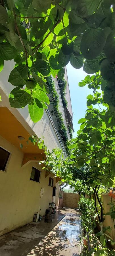 Villa Madani Дуррес Экстерьер фото